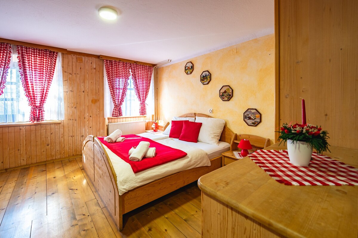 斯洛文尼亚传统客房带露台的家庭公寓
