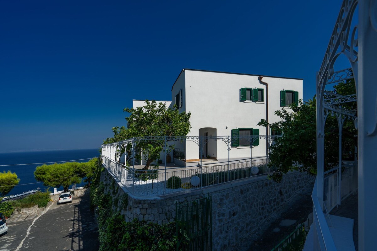 Villa La Pagaia Sorrento海岸