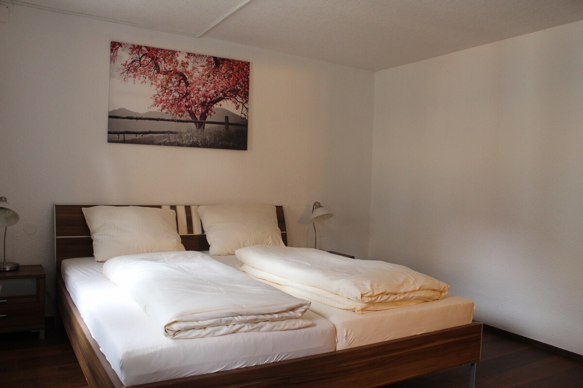 Doppelzimmer (20qm) mit kostenfreiem WLAN (Hotel Anker)