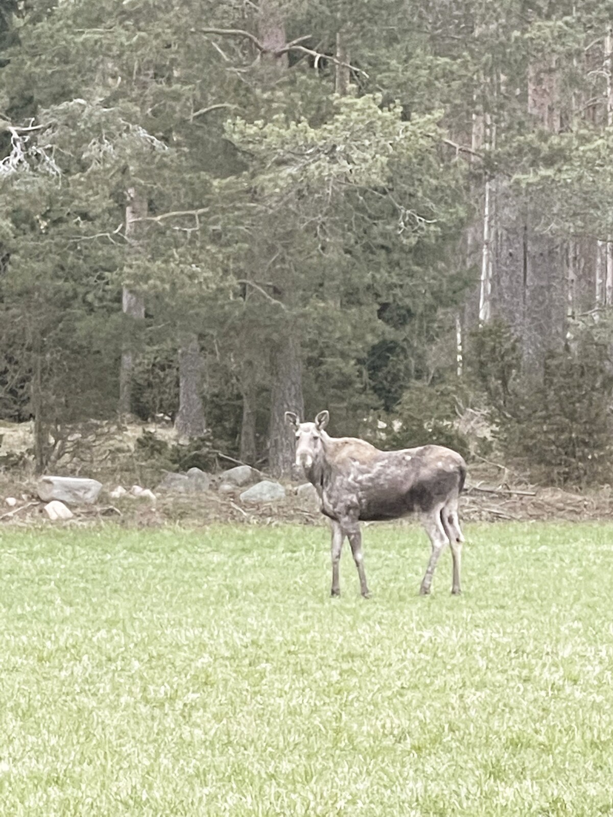 Villa close to nature in Brodalen, Lysekil