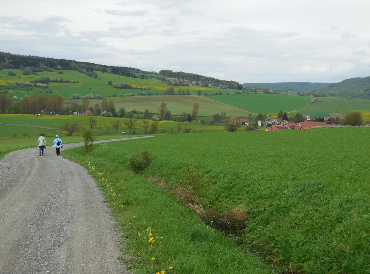 Ferienwohnung 1 (50qm) mit Kamin (Ferienhaus Kämpf)