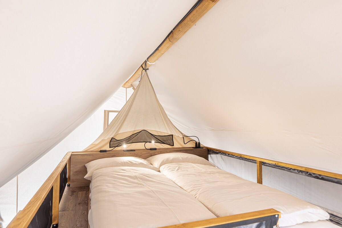 Luxury tent Safari for 6 persons