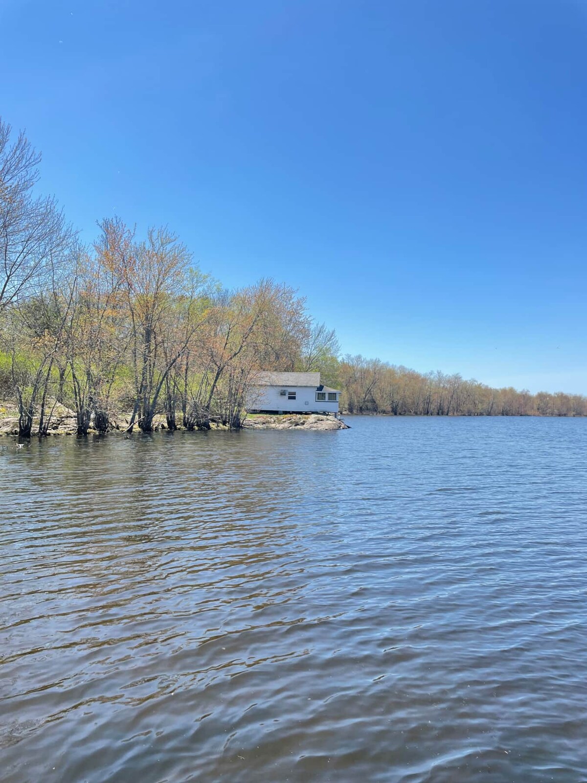 Cabin 4 w/ Private Dock on Black Lake