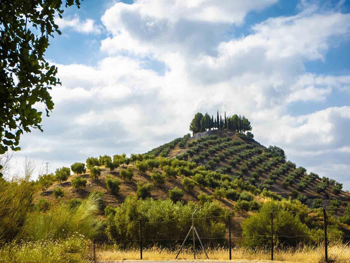 Holidays2Malaga El Chorro -公寓2间卧室，带共用泳池、花园等