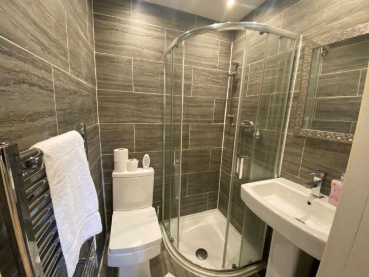 现代1卧室公寓-带淋浴的套房