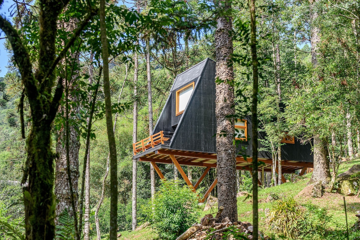 Casa Árbol - Pousada Nacarapina - Natural House