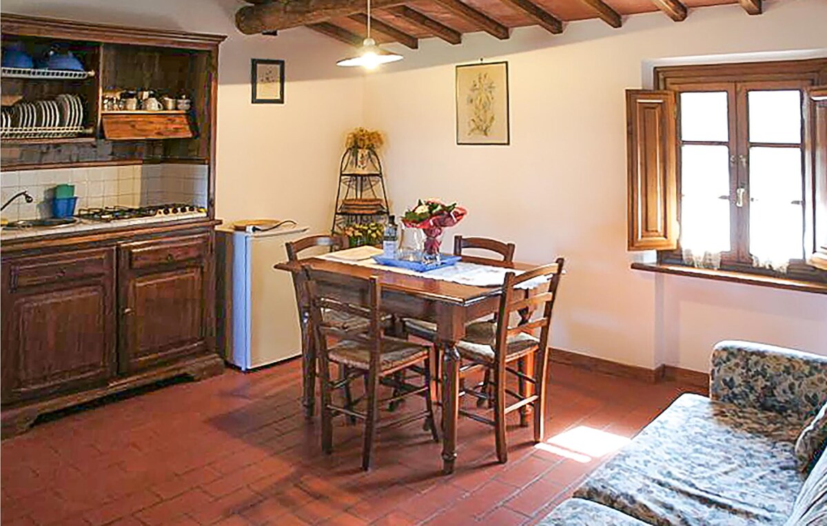 Amazing apartment in Uzzano with kitchen