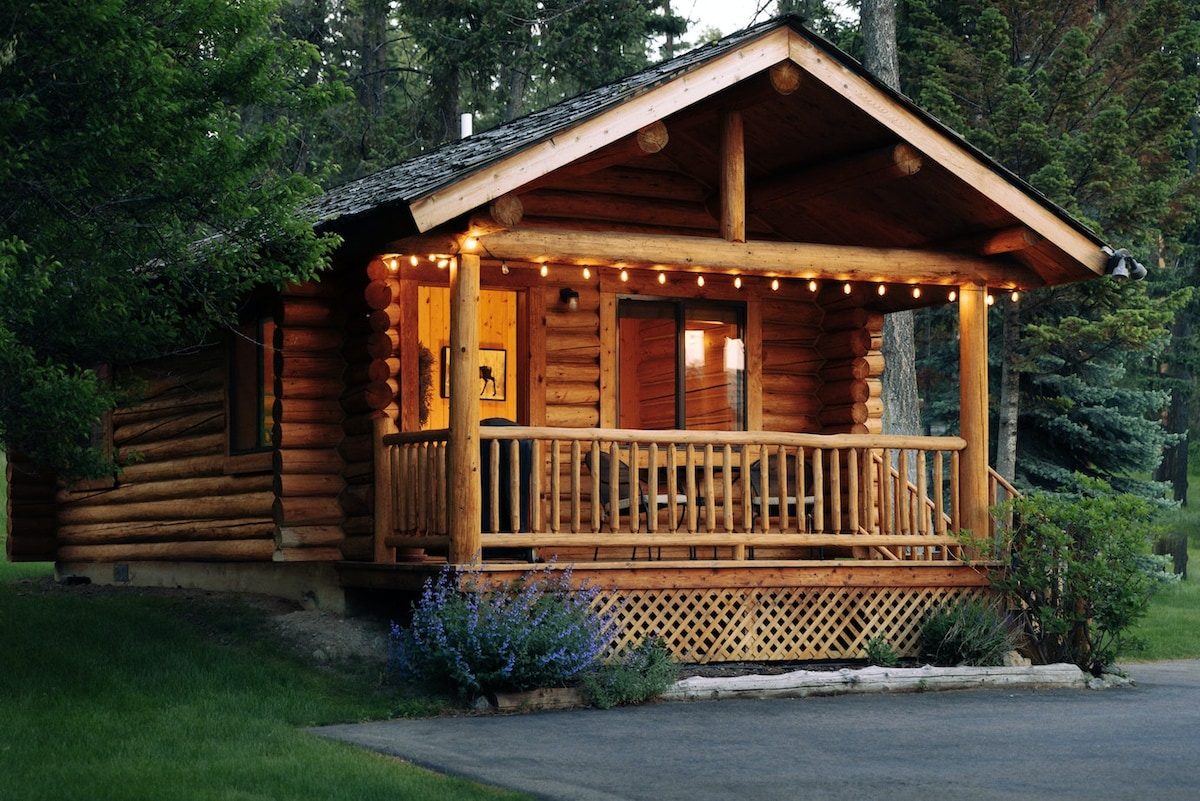 Log Cabin Across from Flathead Lake - #7