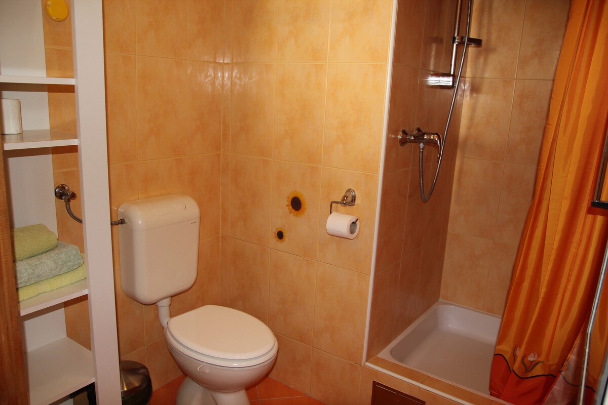 A-12854-d Two bedroom apartment with terrace Zadar