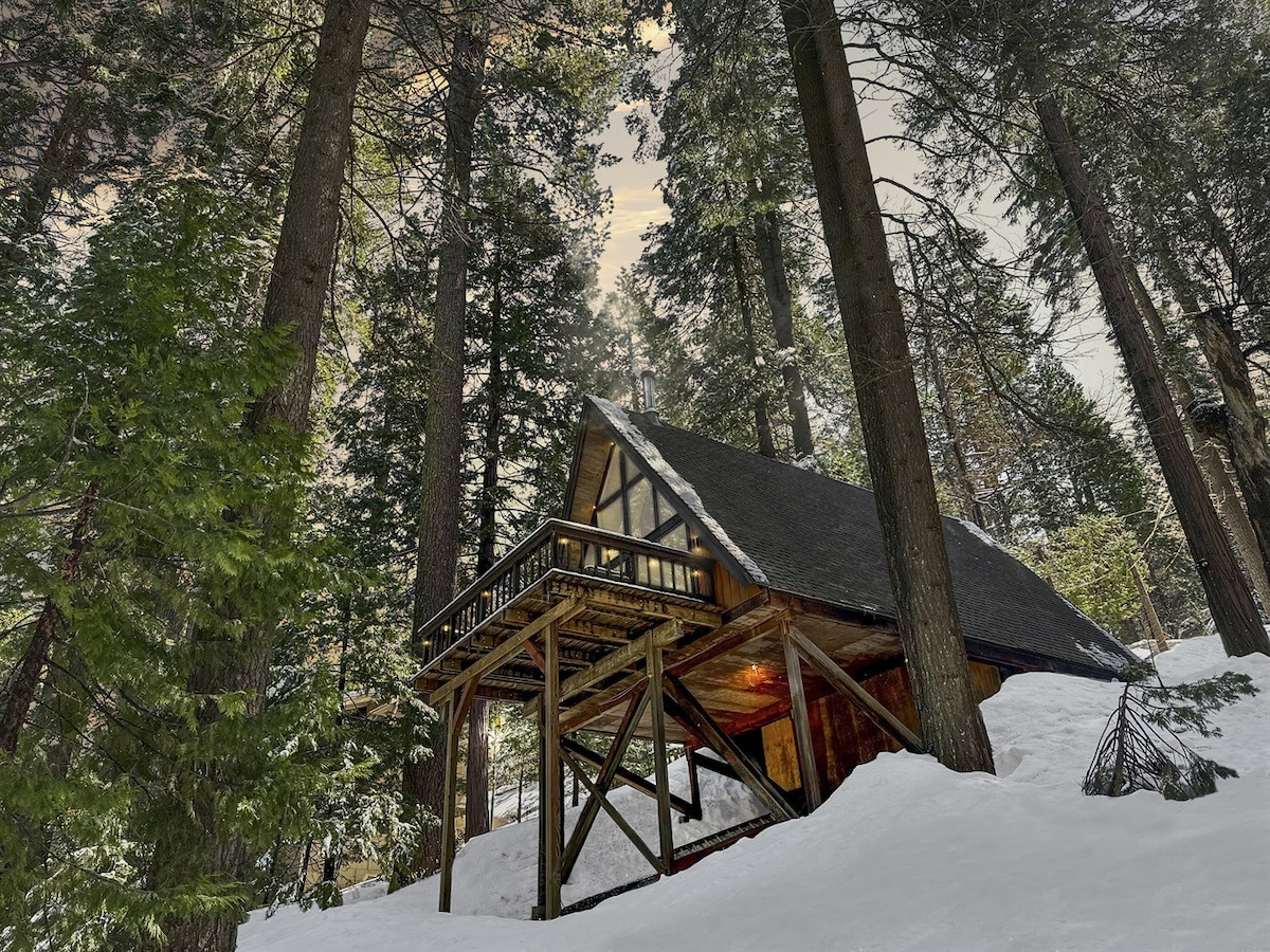 大树之间的滑雪小屋+美景