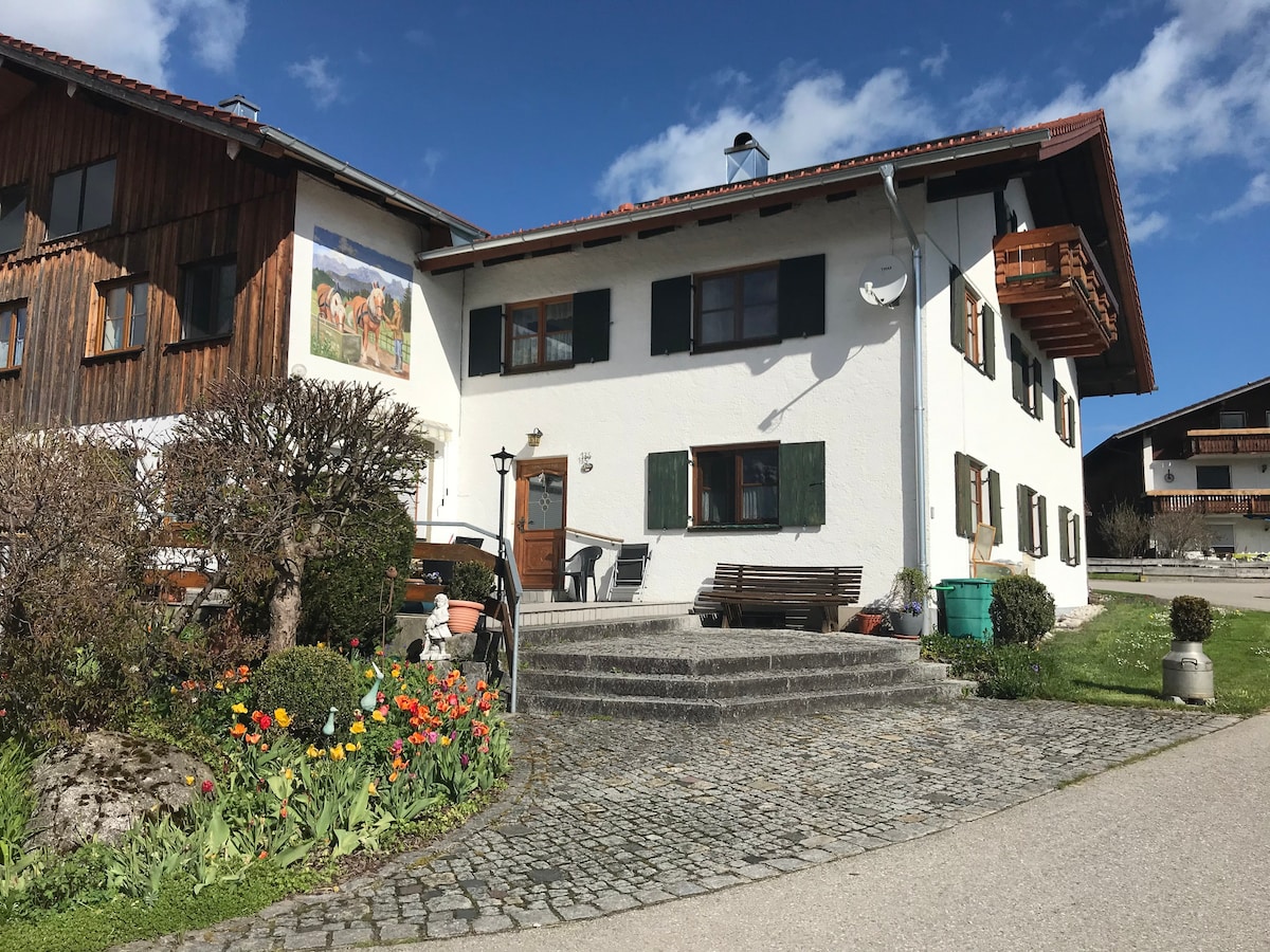 Ferienwohnung mit Blick auf die Berge (Haus Steinacher)