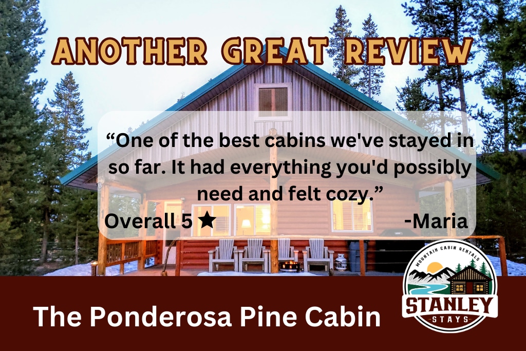 Stanley Stays - The Ponderosa Pine Cabin
