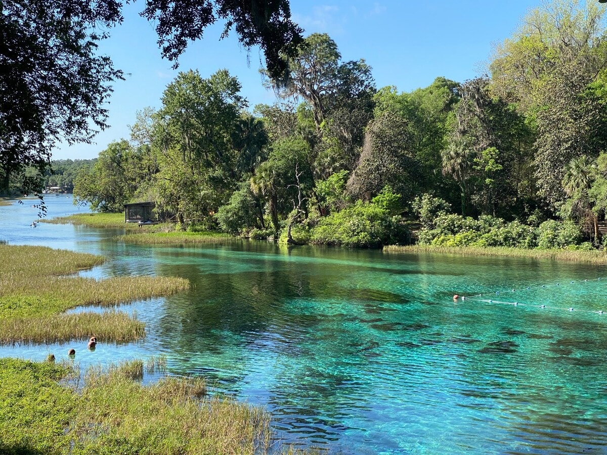 Waterfront updated home on Blue Cove/Rainbow River