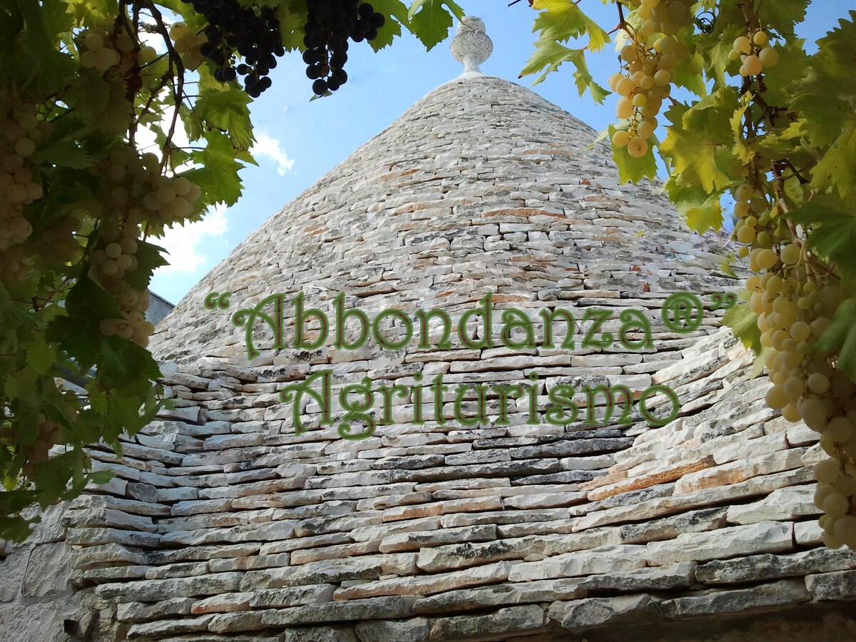 Abbondanza® The Farm House