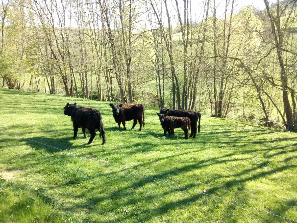 Ferienwohnung mit voll ausgestatteter Küche (Relaxen im Taubertal)