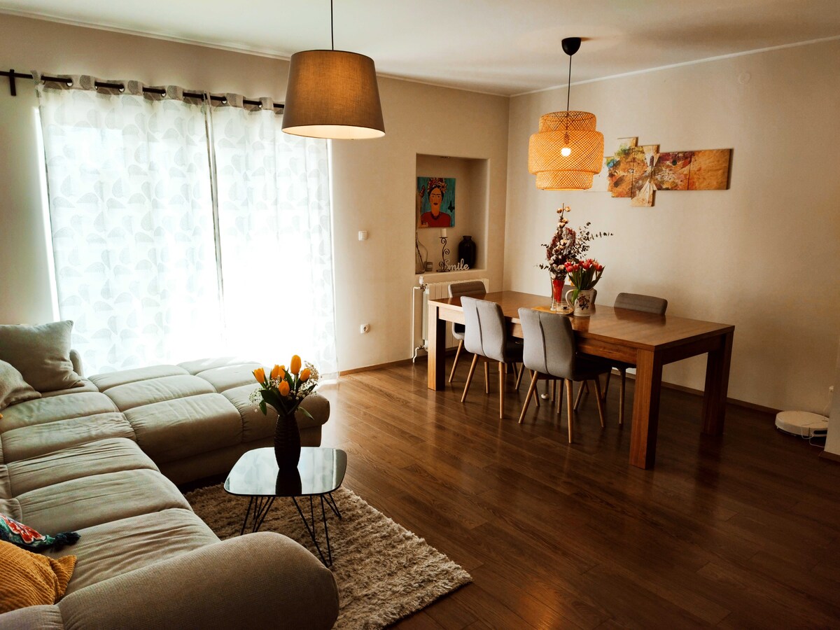 Grubišić- two bedroom apartment with terrace