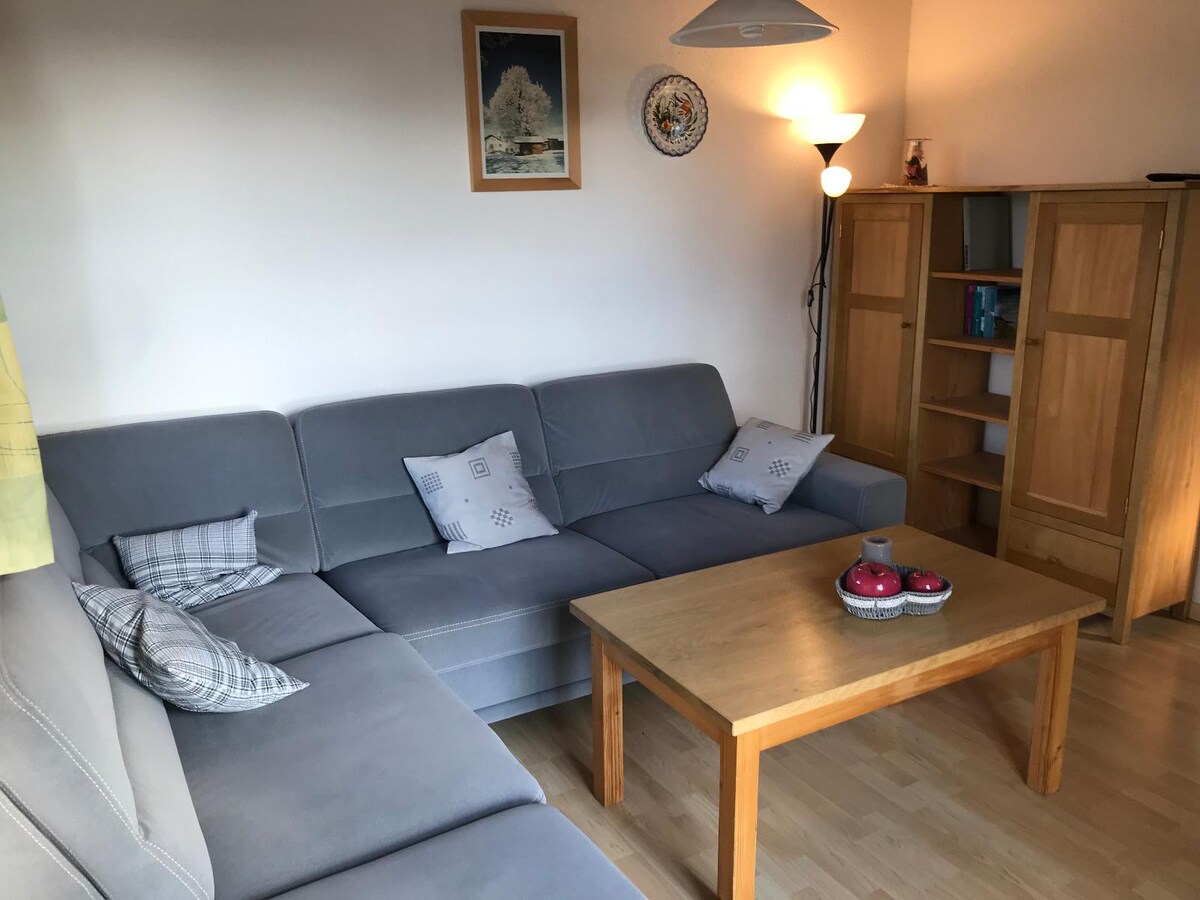 Ferienwohnung (65 qm) mit Balkon und Panoramablick (Ferienwohnungen Lusenblick)