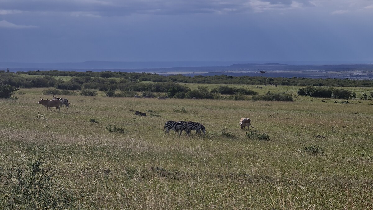 Amanya日落星空床Masai Mara