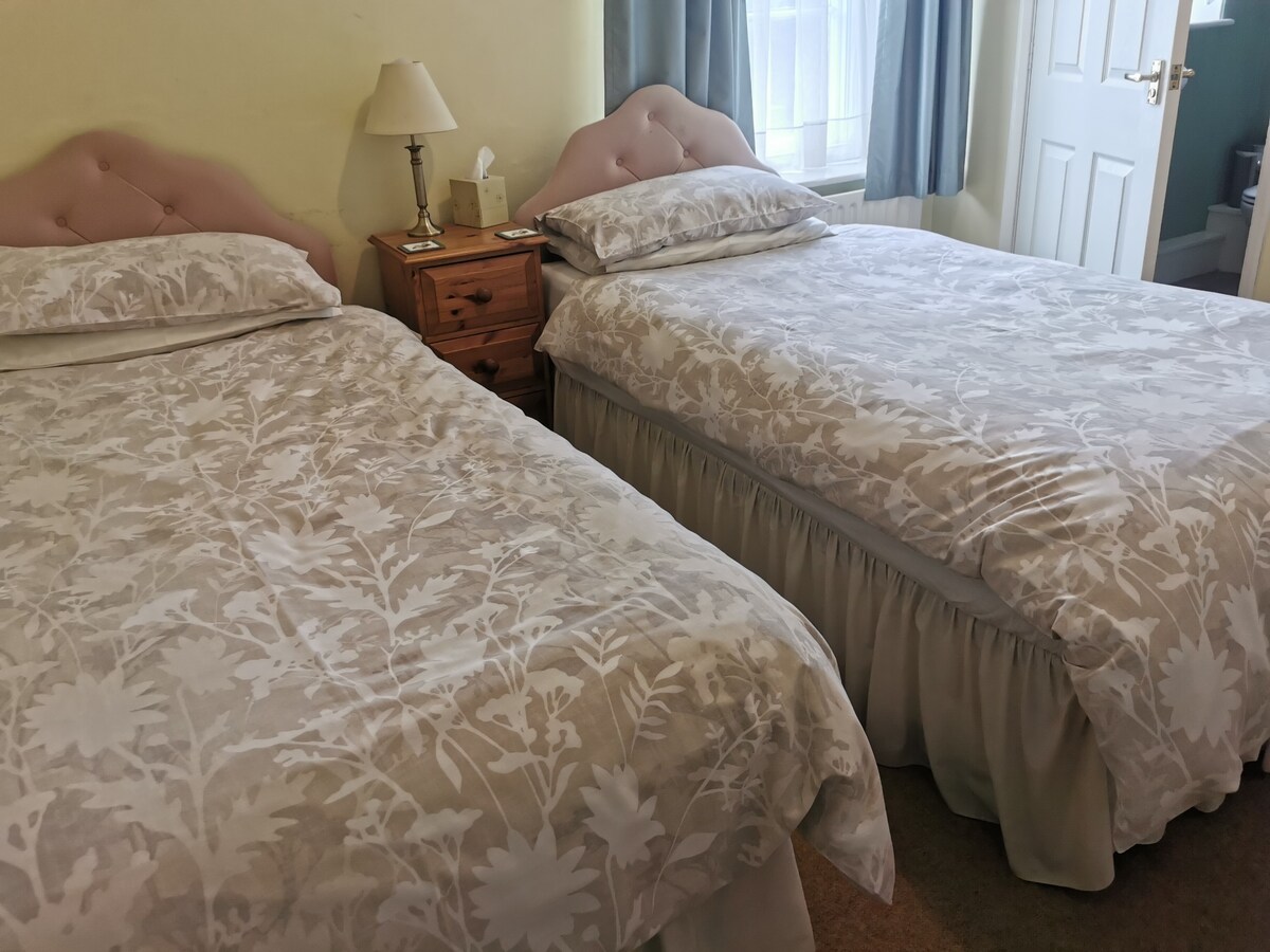 Standard Twin Room En-suite