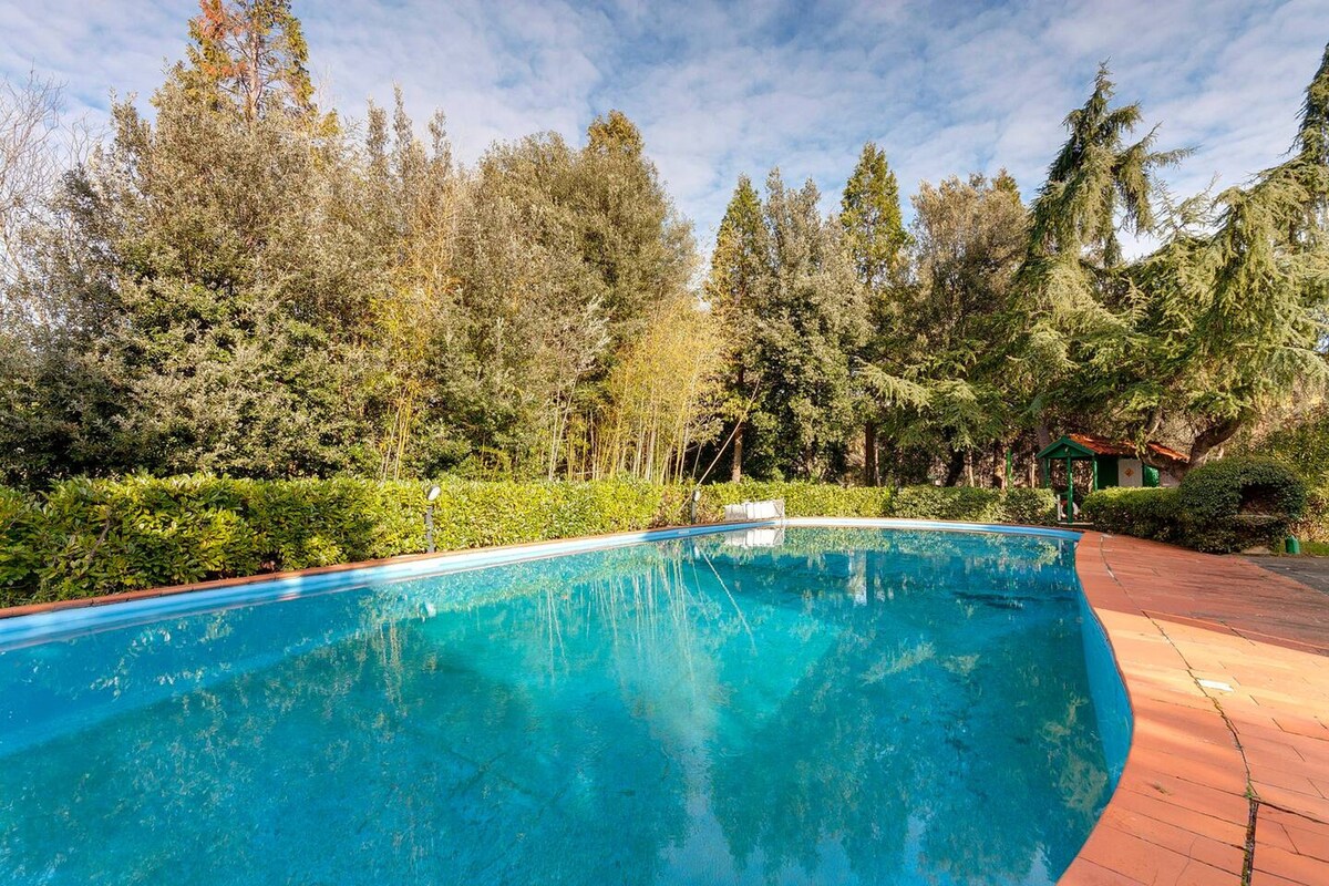 可供12人入住的别墅，在佛罗伦萨有游泳池