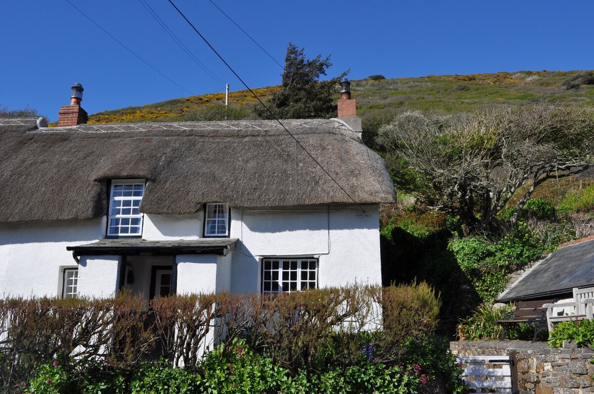 Old Cottage - Idyllic thatched cottage sleeps 6