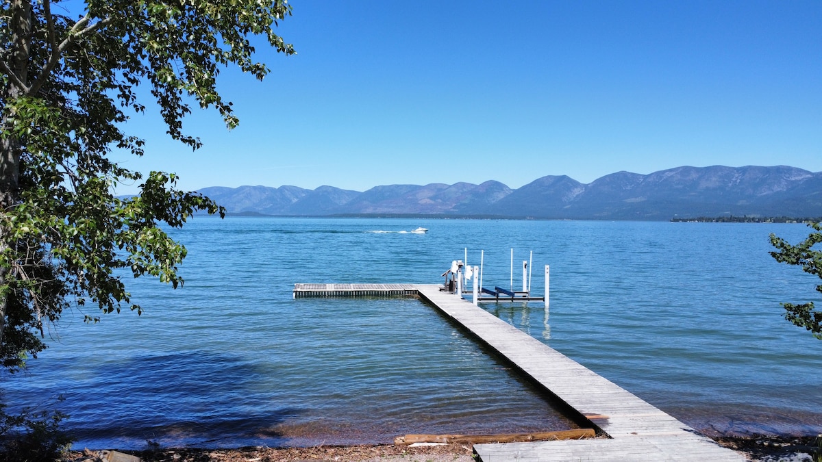 The Bison on Flathead Lake