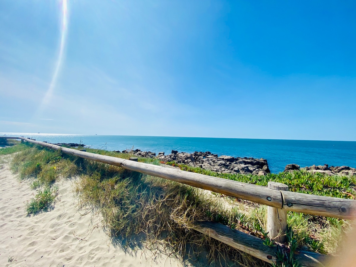 "Croisette" Rez de jardin accès direct plage, clim