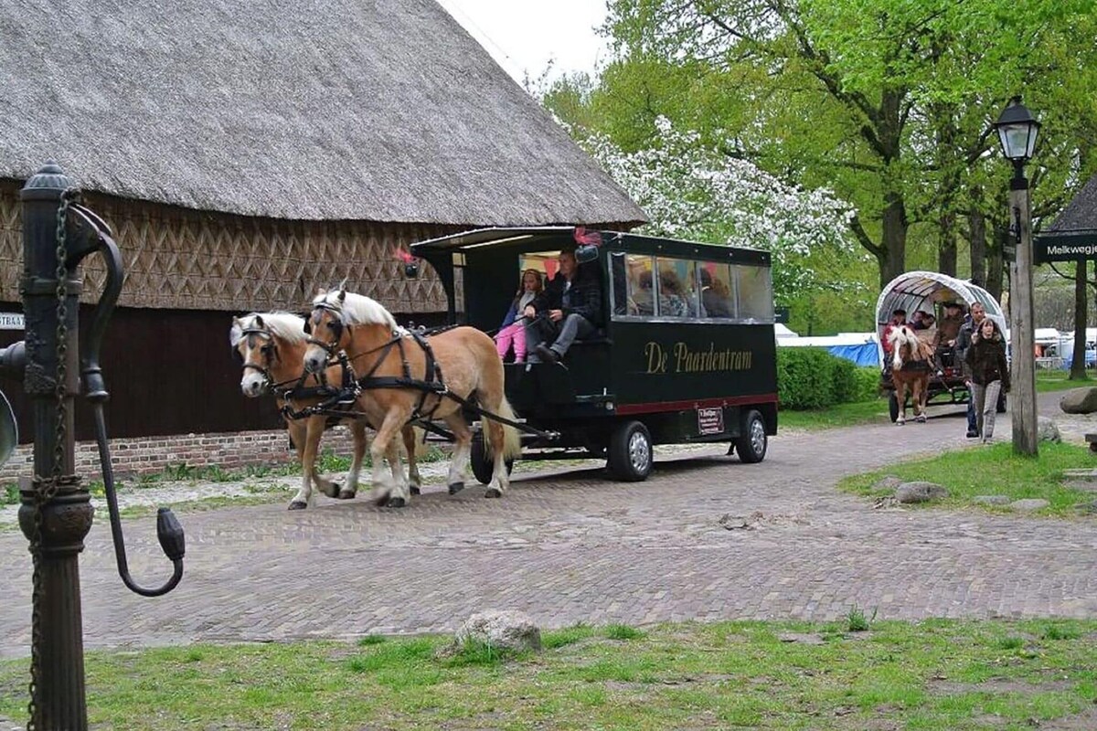 Large group house in Drenthe with bar and playing field