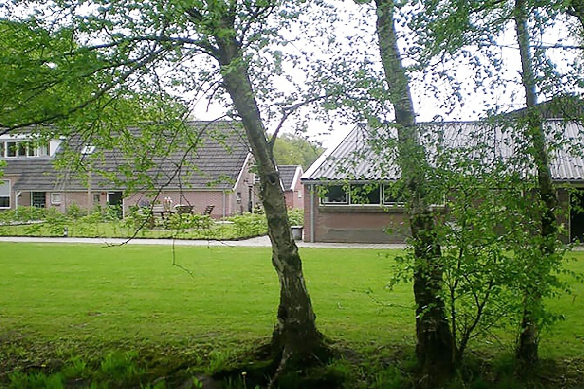 Large group house in Drenthe with bar and playing field