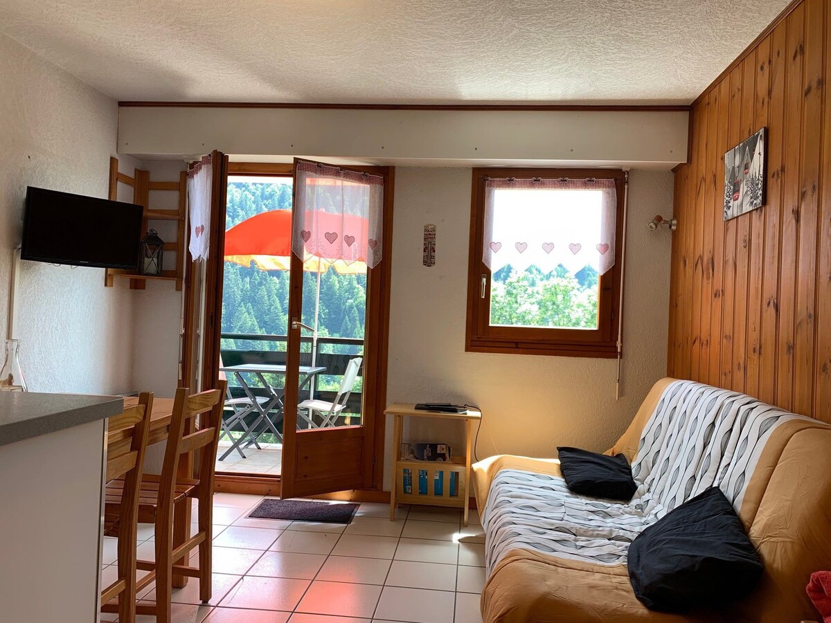 Comfortable apartment close to the village