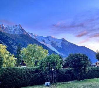 Chalet la Pagode, Mont-Blanc view, private garden