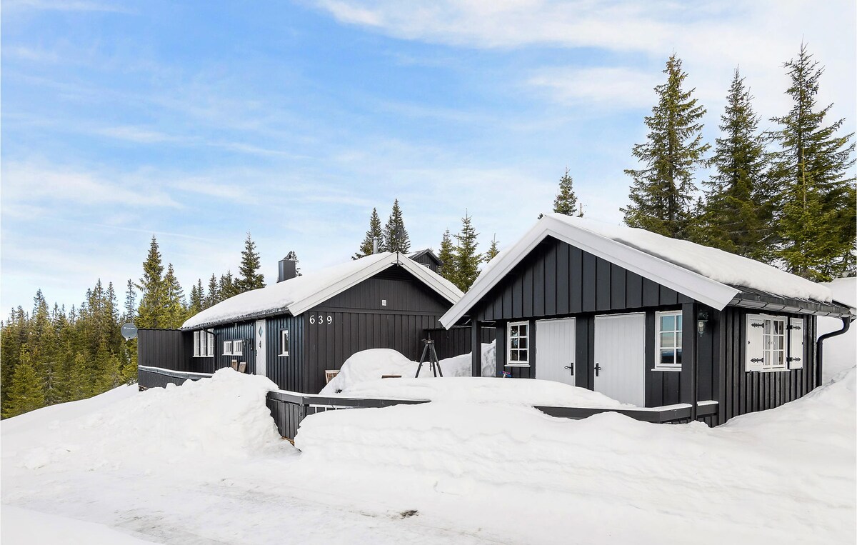 4 bedroom gorgeous home in Sjusjøen