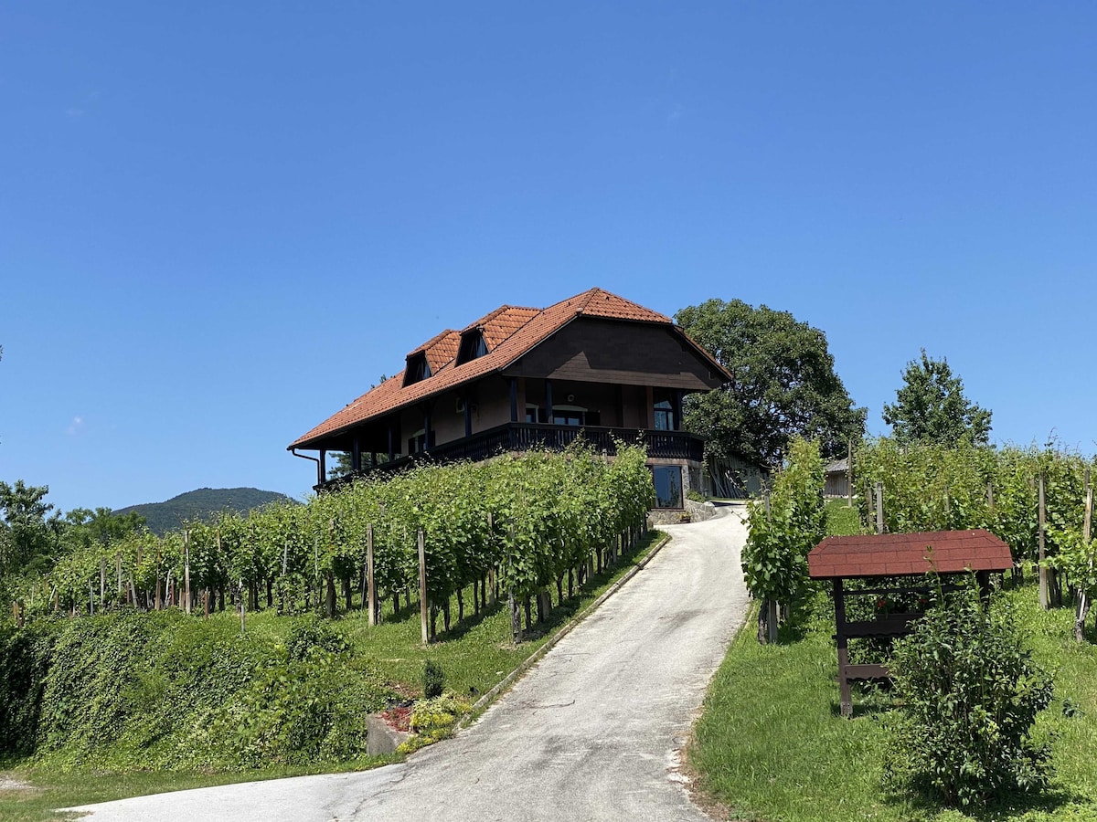 Miha's little hill with Hot tub & Sauna