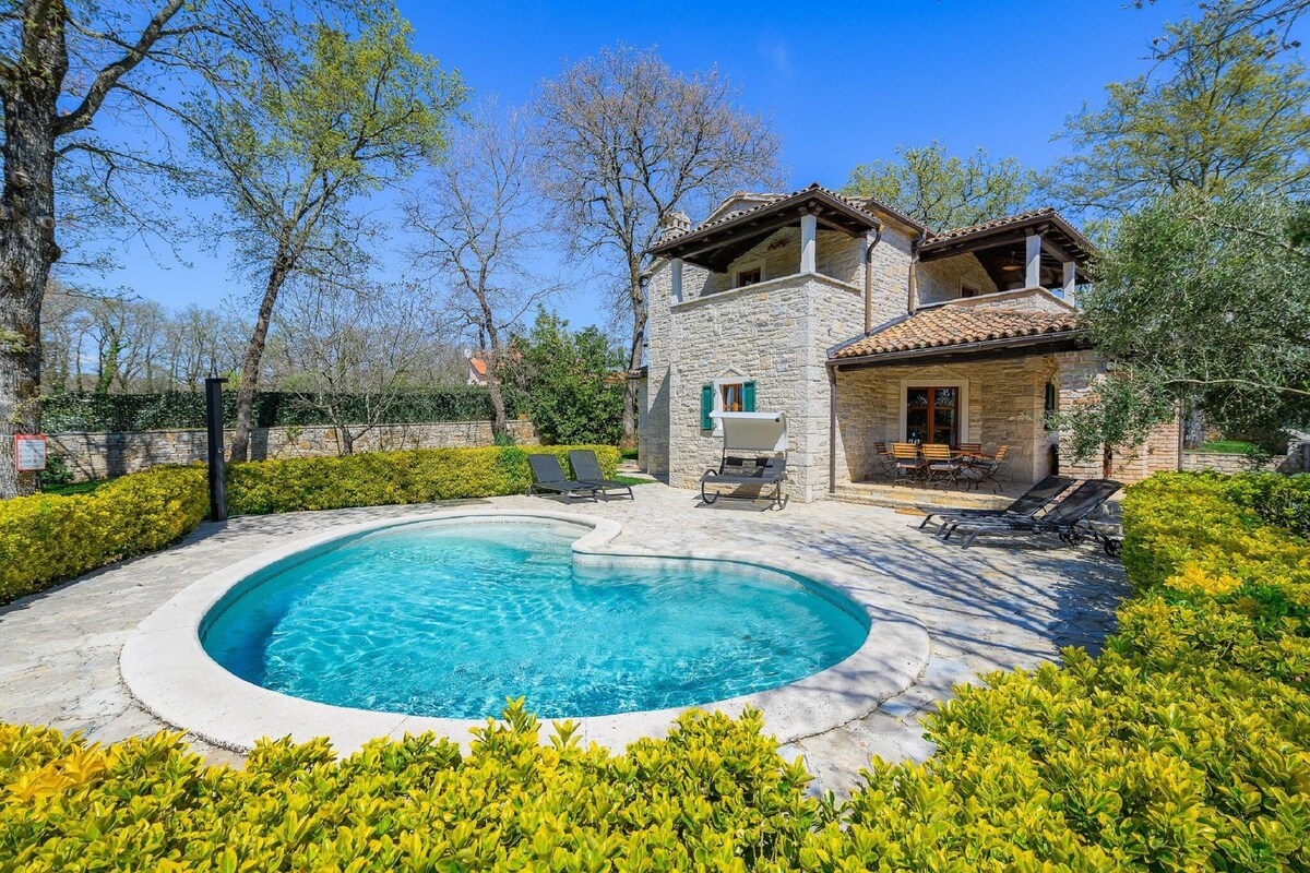 Tinjan美丽的石头别墅，带游泳池