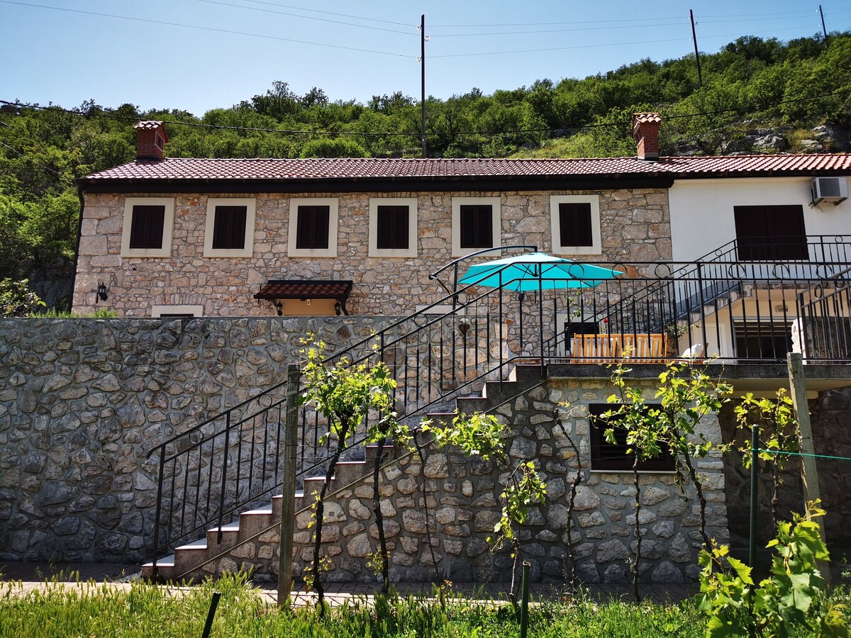 Two Bedroom House, in the countryside in Bribir