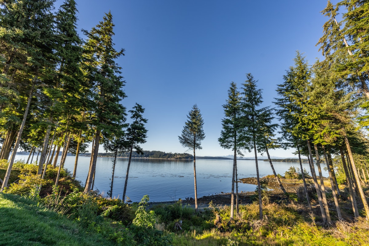 Blackfish Cottage By The Sea at Alder Bay #10