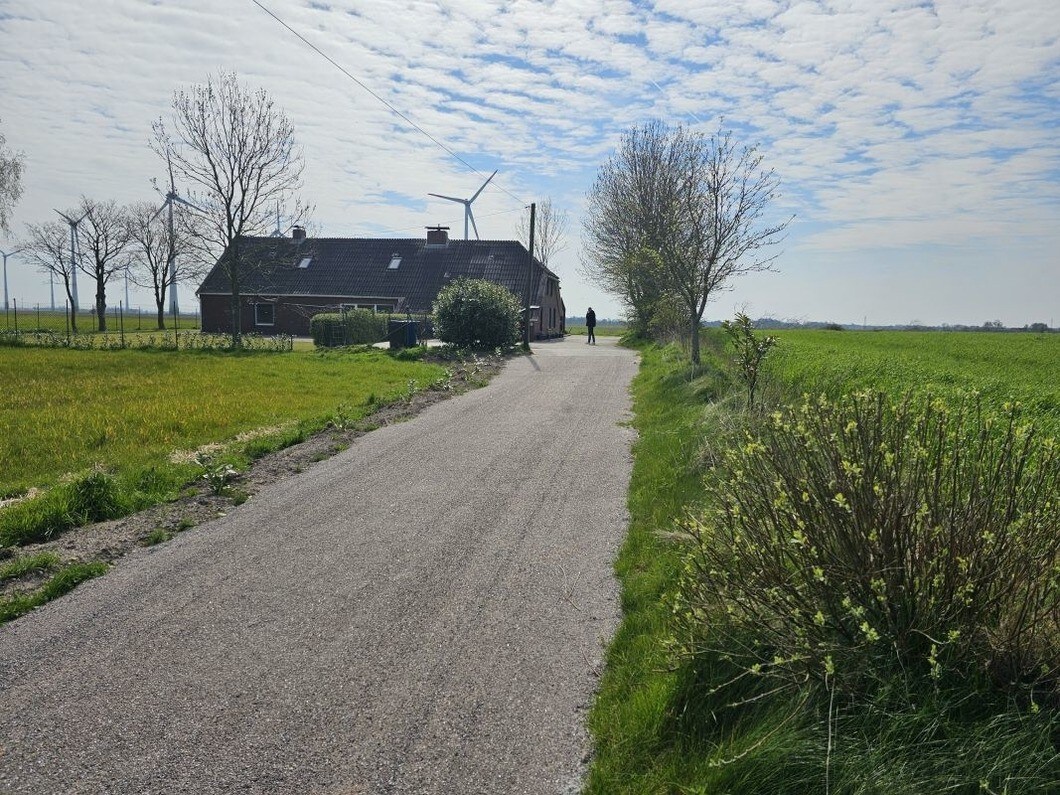 Ferienhaus Buttforde (169382)