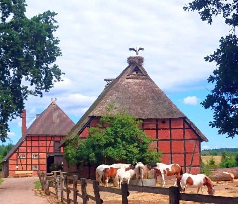 Pony-Ranch-Hütte (169280)