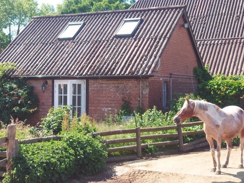 Pony-Ranch-Hütte (169280)