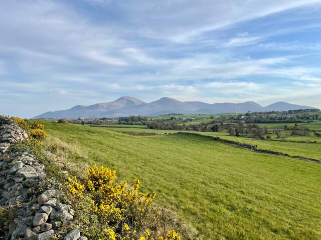 Newry, Mourne and Down的民宿