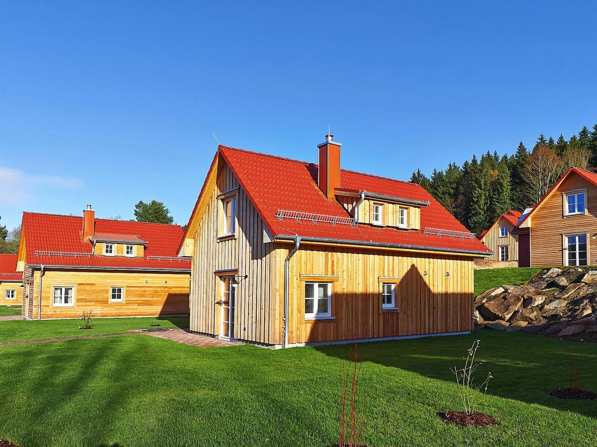 Holiday homes in the Schierke Harzresort on the Brocken, Schierke