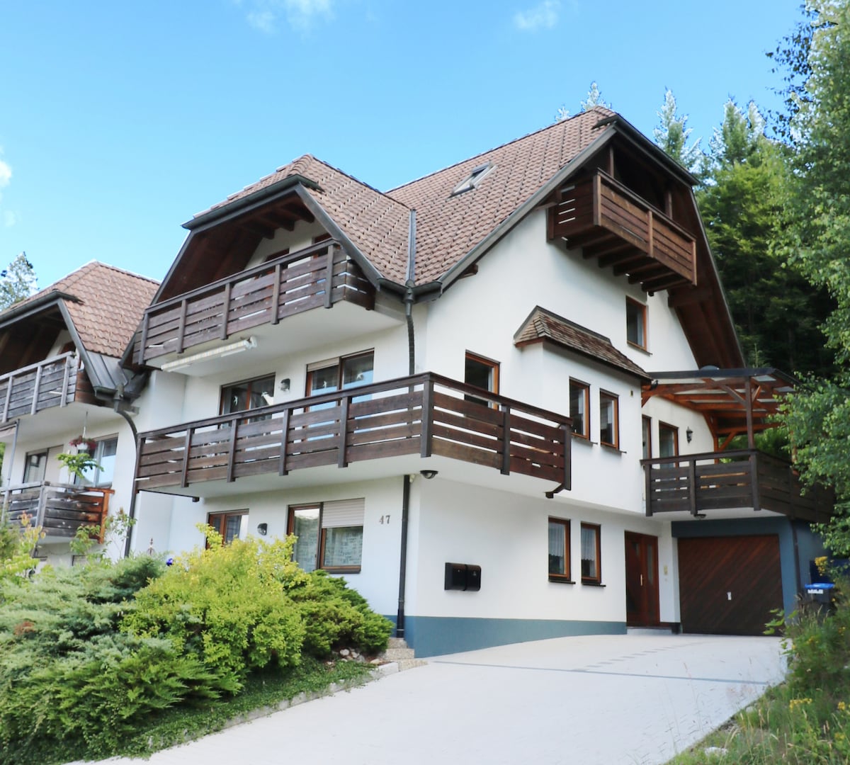 Vacation home with private sauna, Hinterzarten