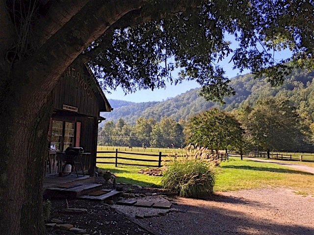 The Bunk House: Newly Renovated, Cute Cabin On