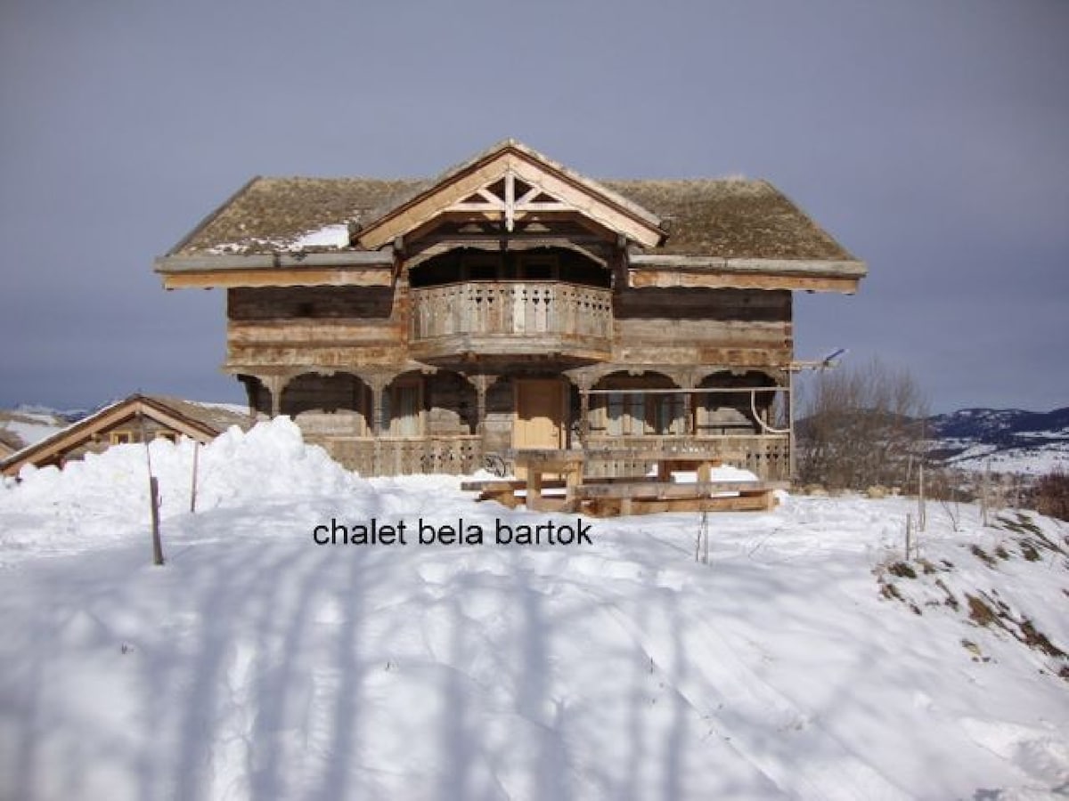 Ker Bela Bartok -Chalet-Family-Mountain景观-Ens