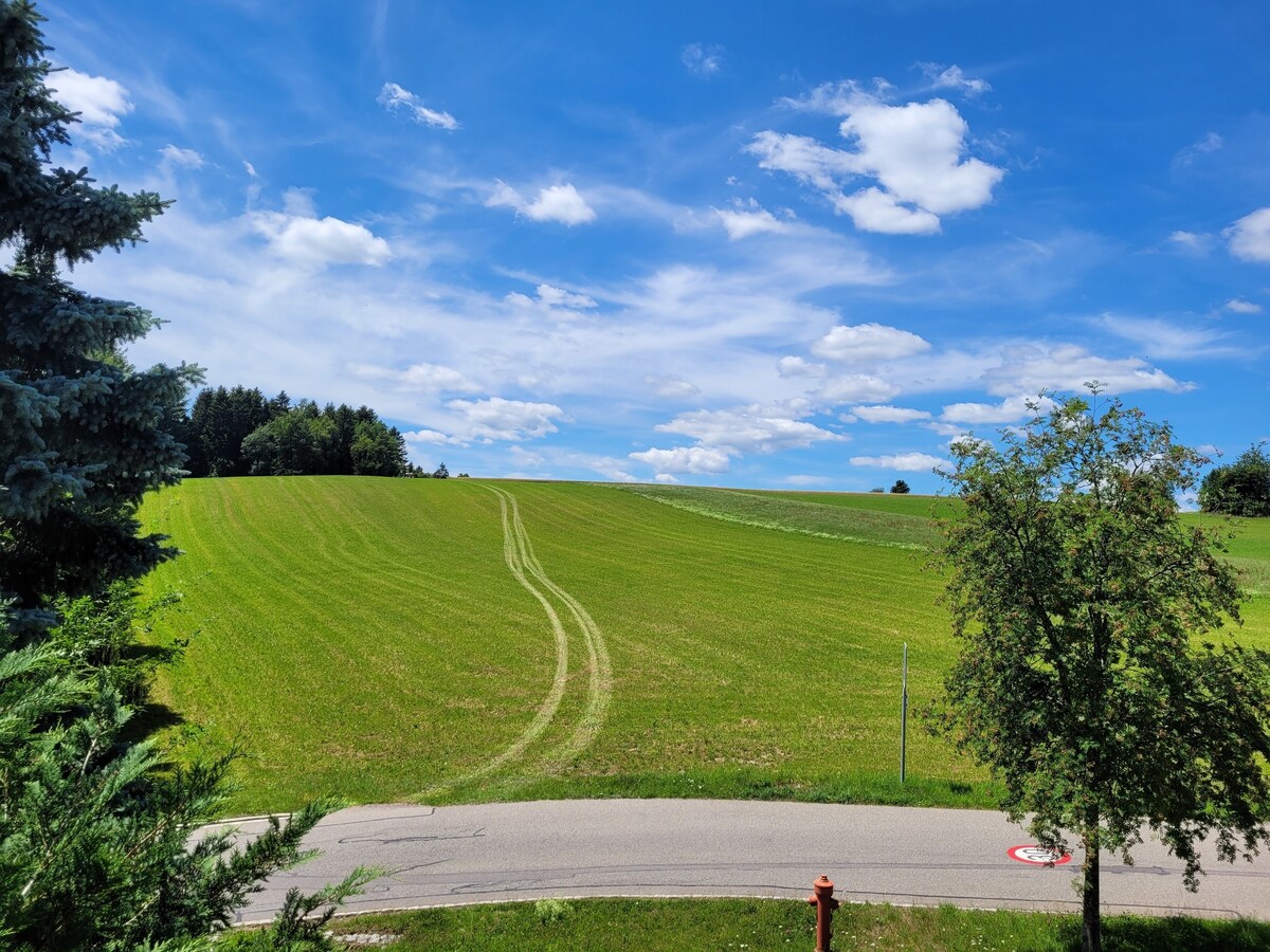 Haus Panoramablick -"Storchennest", Höchenschwand