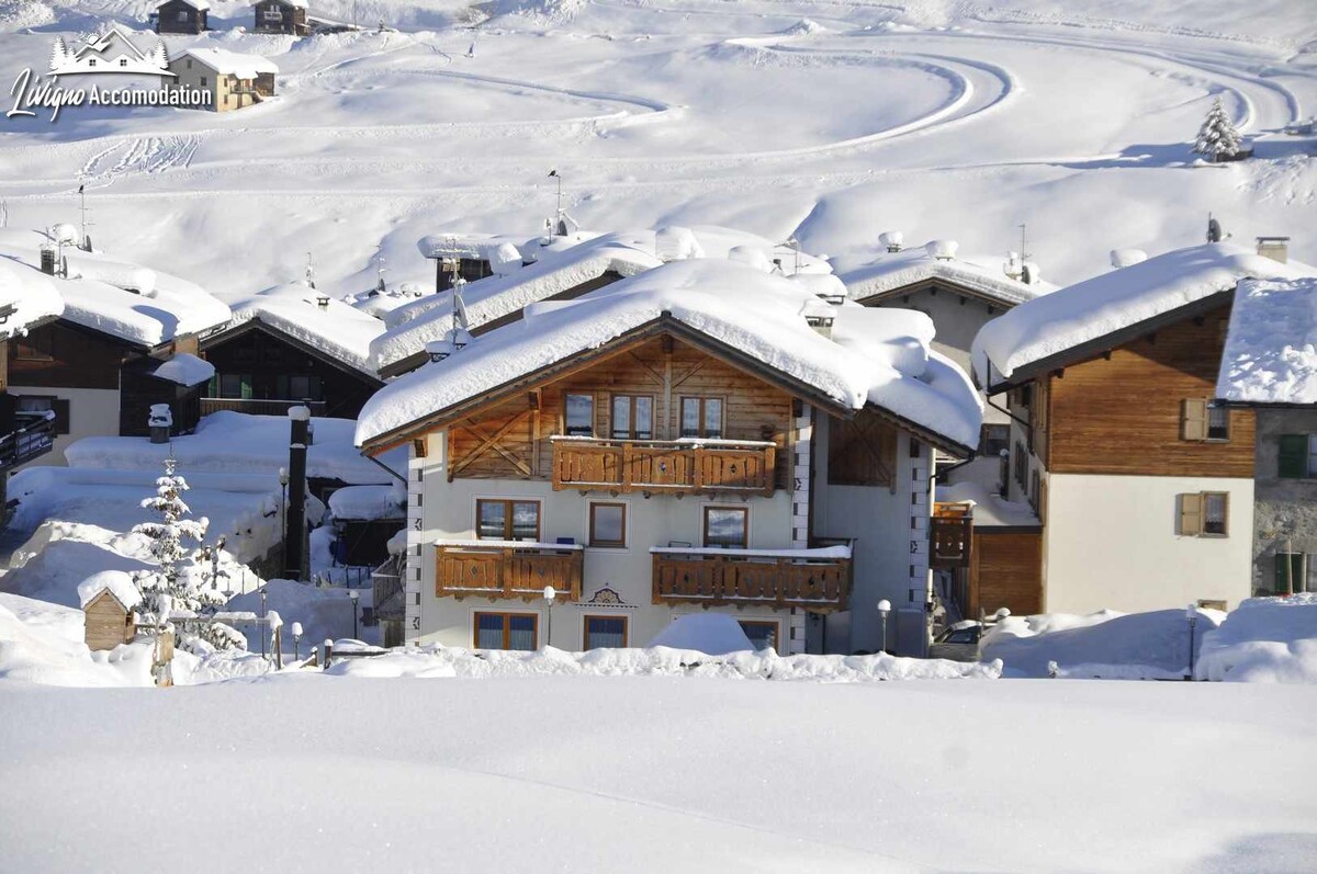 阿尔卑斯皇家达维德-带花园，步行即可到达滑雪场