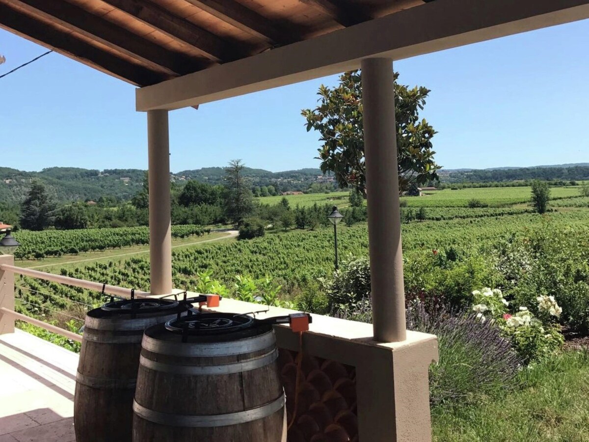 Villa with pool among the vineyards