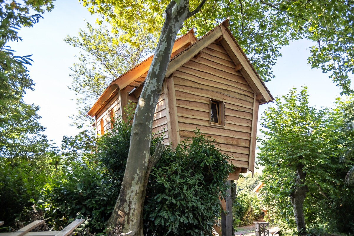 小木屋位于自然环境中