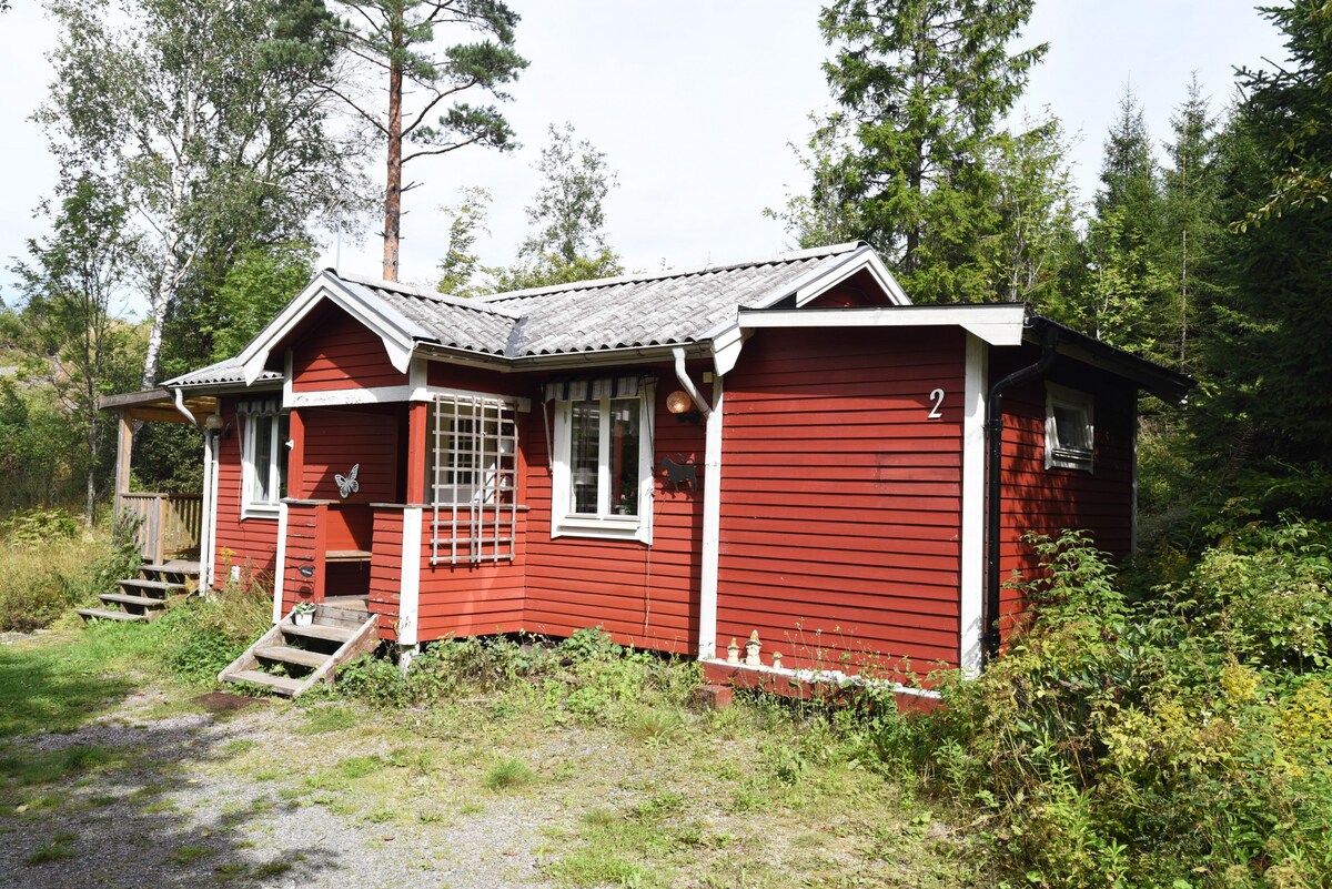 Cozy cottage in lush nature at Kroppefjäll | Se170