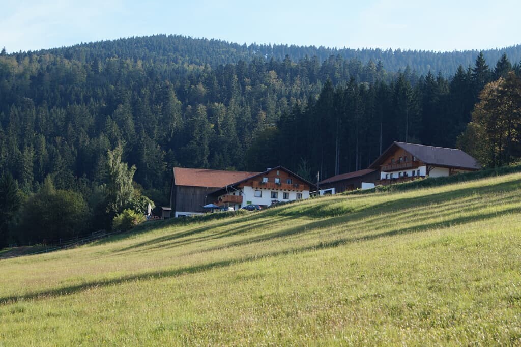 Woid-Chalet (Zum Veitbauern)